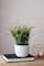 10" Green Spring Time Easter Grass & Egg Floral Arrangement